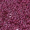 FGB 11/0 Grade A Glass Seed Beads X-SEED-S030-1211-2