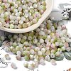 Two Tone Baking Paint Glass Seed Beads SEED-C004-03B-1