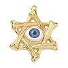 304 Stainless Steel & Resin & Glass Pendants STAS-G371-15G-04-1
