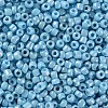 Opaque 8/0 Glass Seed Beads SEED-S023-01B-03-2