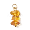 3Pcs 3 Styles Natural Amber Nuggets Pendants PALLOY-JF04851-3