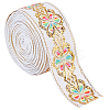 Flat Ethnic Style Embroidery Polyester Ribbons OCOR-WH0067-86C-1