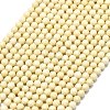Natural Fossil Beads Strands G-A260-A35-01-2
