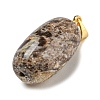 Natural Agate Pendants LS-G-D094-05B-G-2