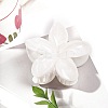 Resin Claw Hair Clips PW-WG0E0E6-02-1