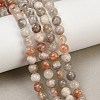 Natural Arusha Sunstone Beads Strands G-P488-04A-6