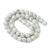 Natural Howlite Beads Strands G-H023-A16-01-3