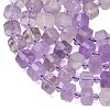 Natural Lavender Amethyst Beads Strands G-G453-G13-7x12mm-4