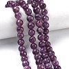Natural Lepidolite/Purple Mica Stone Beads Strands G-C270-O05-14-1