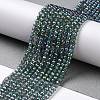Electroplate Transparent Glass Beads Strands GLAA-H021-01B-FR01-3
