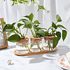 Column Glass Hydroponics Plants Pot Flower Bottle Tube Vase Set AJEW-WH0541-11A-5
