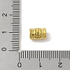304 Stainless Steel Beads STAS-Z058-03G-08-3