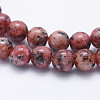 Natural Larvikite Beads Strands X-G-E443-A19-3