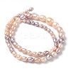 Natural Cultured Freshwater Pearl Beads Strands PEAR-C004-16-5