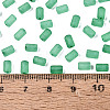 FGB Frosted Transparent Glass Seed Beads SEED-N013-05A-09-4