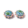 Baking Paint Glass Enamel Beads LAMP-K039-34J-3