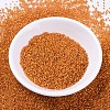 MIYUKI Delica Beads SEED-X0054-DB0681-2