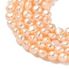 Natural Cultured Freshwater Pearl Beads Strands PEAR-C004-21F-4