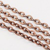 Iron Cable Chains CH-0.5PYSZ-R-1