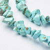 Synthetic Turquoise Beads Strands X-G-D283-3x5-10-2