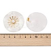 304 Stainless Steel ABS Imitation Pearl Stud Earrings for Women EJEW-M095-06G-02-3