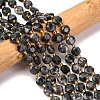 Natural Larvikite Beads Strands G-C116-A30-02-1
