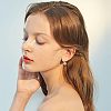 10 Pairs 2 Colors Rack Plating Brass Earring Hooks EJEW-FH0001-05-5