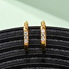 304 Stainless Steel Clear Cubic Zirconia Hoop Earrings EJEW-D331-18C-G-5
