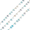 Handmade Glass Beaded Chains CHS-P016-46G-07-1