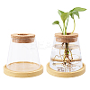 Glass Planter Vase with Wooden Lid and Bamboo Stand AJEW-WH0554-97-1