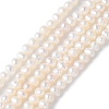 Natural Cultured Freshwater Pearl Beads Strands PEAR-I007-07K-04-2