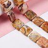 Natural Crazy Lace Agate Beads Strands G-L253-12-2