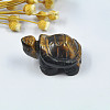 Natural Tiger Eye Display Decorations PW23021810848-1
