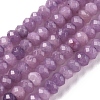 Dyed Natural Malaysia Jade Rondelle Beads Strands G-E316-2x4mm-39-2