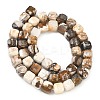 Natural Petrified Wood Beads Strands G-C267-A06-3