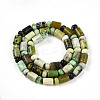 Natural Serpentine Beads Strands G-N346-03A-04-3