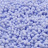 Macaron Color Opaque Frosted Glass Seed Beads SEED-K009-12B-12-3