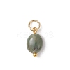 Natural Indian Agate Oval Charms PALLOY-JF04942-2