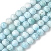 Natural Larimar Beads Strands G-B141-01-6mm-2