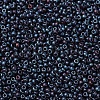 MIYUKI Round Rocailles Beads X-SEED-G007-RR2009-3