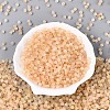 Frosted Glass Seed Beads SEED-N012-01H-2