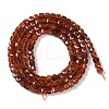 Natural Garnet Beads Strands G-P457-B01-18A-3