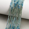 Gradient Color Natural Apatite Beads Strands GG-CBA1668-A04-2mm-1