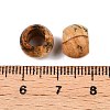 Natural Picture Jasper European Beads G-T092-10mm-27-3