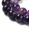 Natural Amethyst Beads Strands G-C152-01A-4