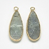 Natural Labradorite Pendants LS-G-Q494-55C-2