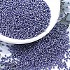 MIYUKI Round Rocailles Beads X-SEED-G007-RR0434-1