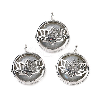 Natural Labradorite Locket Pendants G-G982-01P-20-1