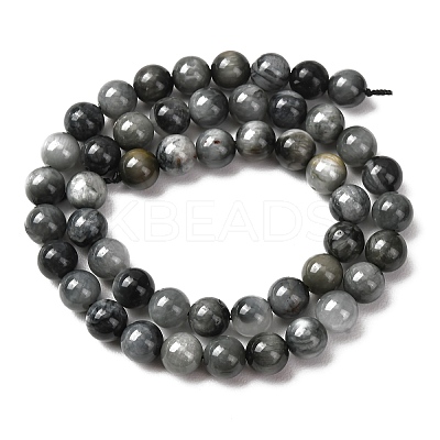 Natural Hawk's Eye Beads Strands G-L478-03-8mm-01-1