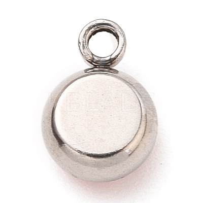 304 Stainless Steel Charms STAS-I165-04C-P-1